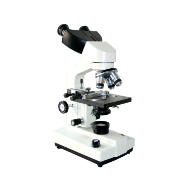 Microscope-FSF-36-1600X
